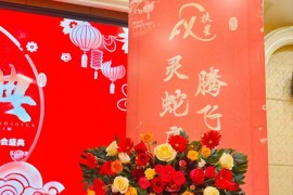 湖北扶星2025年蛇年春节联欢晚会